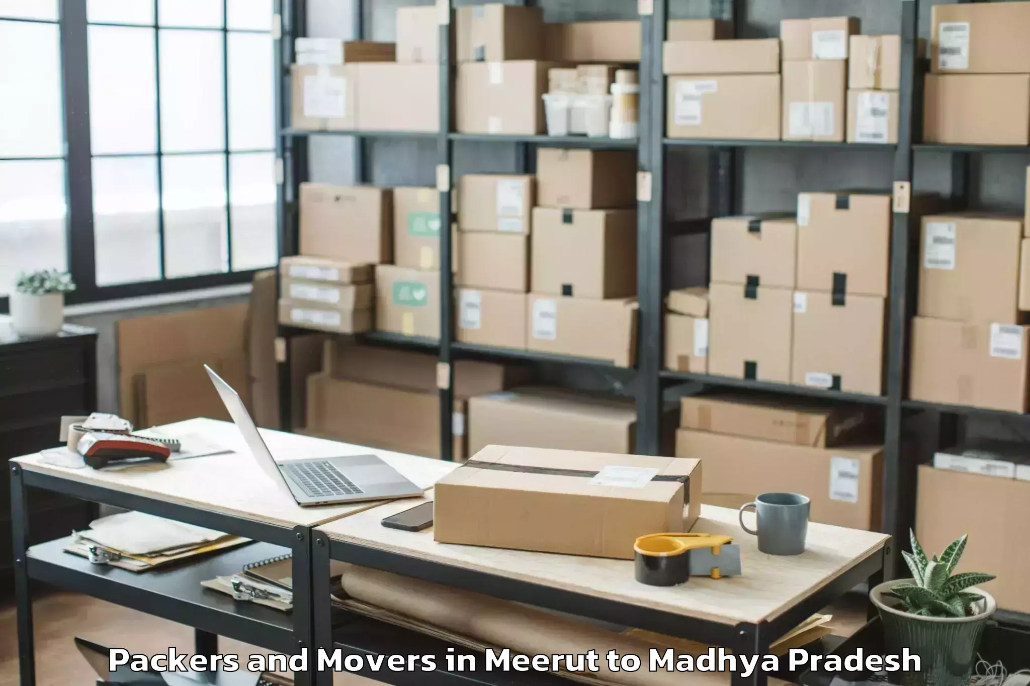 Get Meerut to Bhanpur Packers And Movers